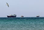 Three large boats sit on the horizon of a teal sea, with a seagull flying in the left foreground above the water.