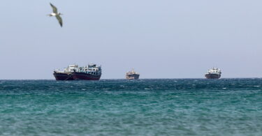 Three large boats sit on the horizon of a teal sea, with a seagull flying in the left foreground above the water.
