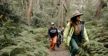 Group of hikers walking up a fern-covered forest trail, led by a person in a neon jacket and wide-brimmed hat.