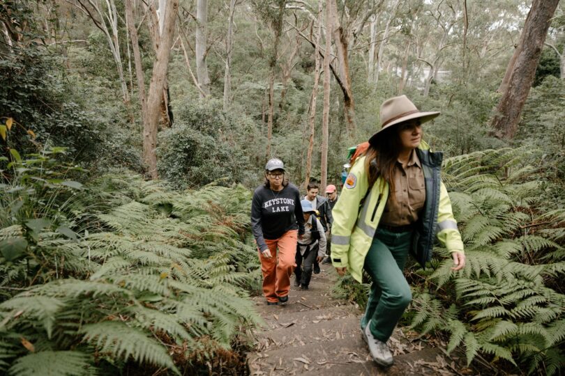 Group of hikers walking up a fern-covered forest trail, led by a person in a neon jacket and wide-brimmed hat.