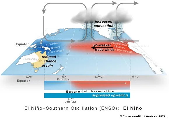Diagram illustrating ENSO (El Niño–Southern Oscillation): warmer eastern Pacific with weaker trade winds, increased convection over the central/eastern Pacific, reduced upwelling off South America, and a shifted thermocline.
